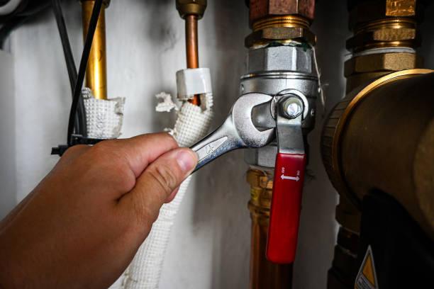 Best Leak Detection Services  in Milford, NE